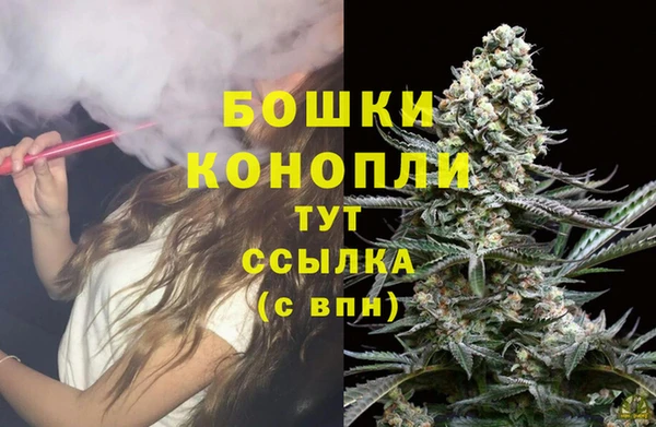 спиды Новодвинск
