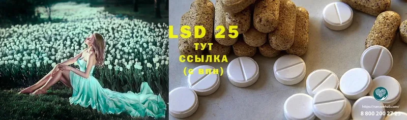 LSD-25 экстази кислота  цена наркотик  Ливны 