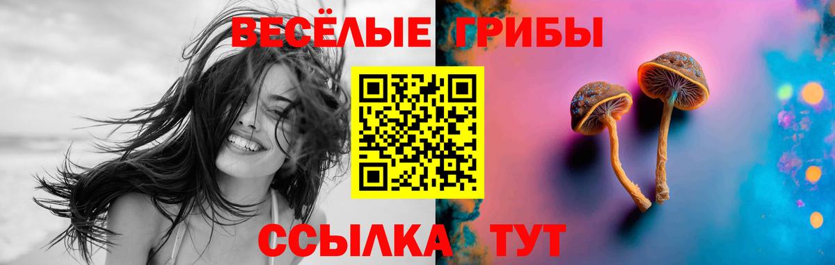 Ливны  Псилоцибиновые грибы ЛСД  Вход с VPN  Галлюциногенные грибы мицелий 