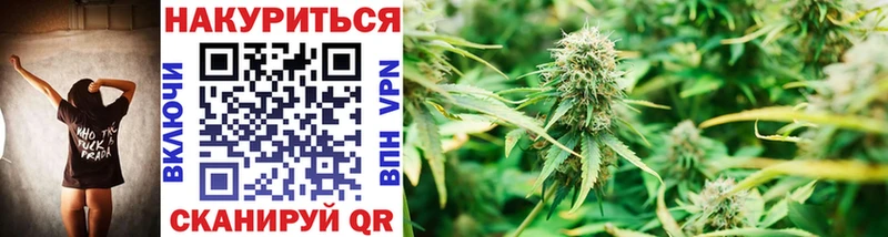 Каннабис SATIVA & INDICA купить закладку Ливны